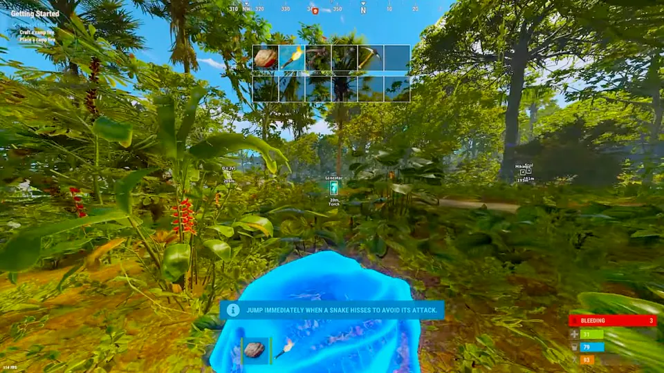 Rust cheat jungle ESP showing player name tags and distances through thick vegetation